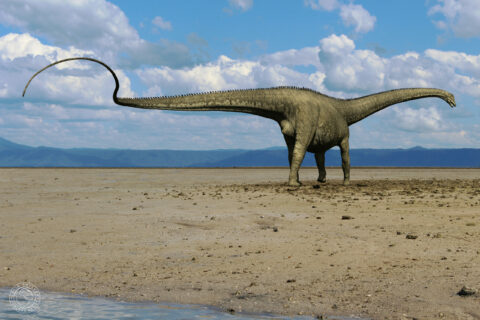 Динозавр диплодок – самый крупный доисторический ящер