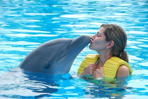 Дельфины как люди: удивительные факты