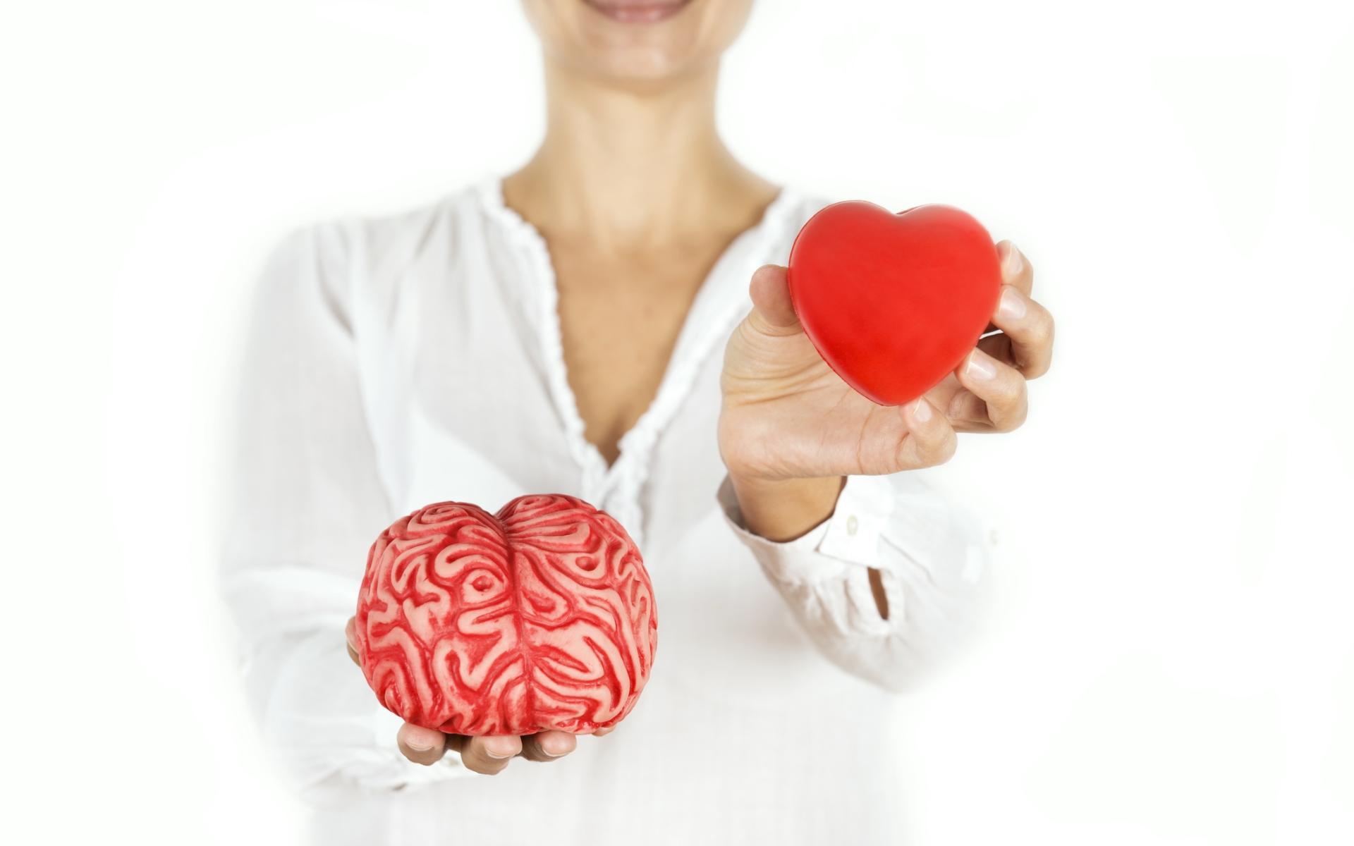 5 продукты для сердечно-сосудистой системы