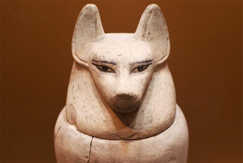 Дуамутеф – бог Древнего Египта