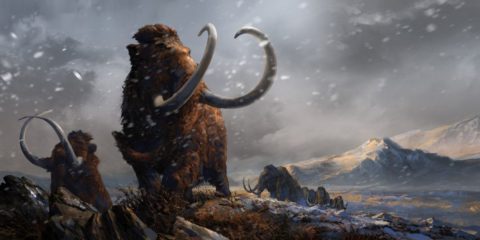 Почему вымерли мамонты – ледниковая эпоха или охотничий промысел?