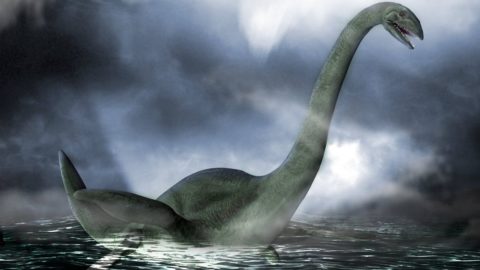 Тайна Лохнесского чудовища — загадочный монстр подводного мира