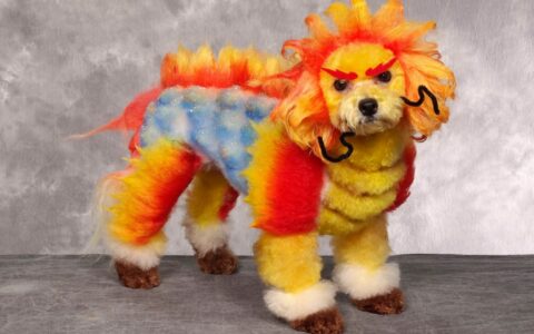 Цветные собаки — как покрасить собаку?