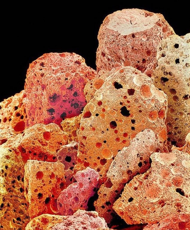 Кофейные гранулы под микроскопом